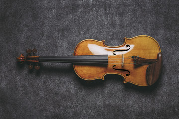 Fototapeta na wymiar バイオリン