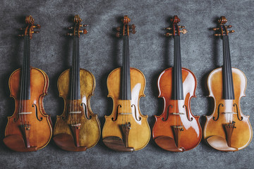 Naklejka premium 複数のバイオリン