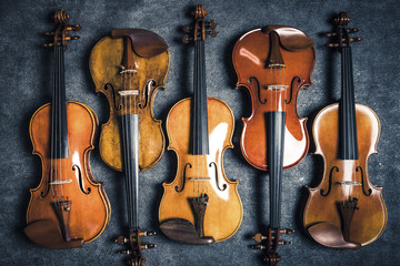 Naklejka premium 複数のバイオリン
