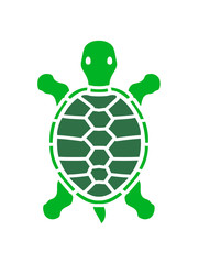 beine landschildkröte laufen gehen schildkrötenpanzer design logo comic cartoon schildkröte panzer lustig süß niedlich cool clipart