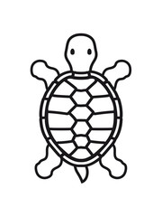 beine landschildkröte laufen gehen schildkrötenpanzer design logo comic cartoon schildkröte panzer lustig süß niedlich cool clipart