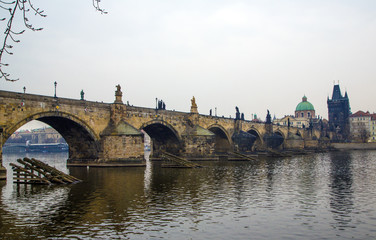 Obraz premium View on Charles bridge and swans on Vltava river in Prague, Czech Republic