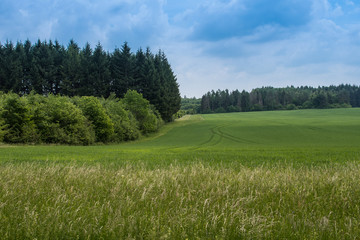 Landschaft in Süddeutschland