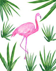 Obraz premium watercolor illustration of green branches with flamingo