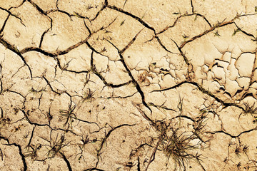 The cracked dry ground
