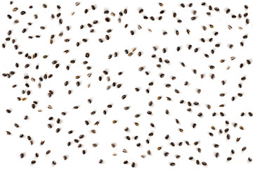 Chia Seed Pattern. Chia seeds isolated on white background. Closeup. Top view.