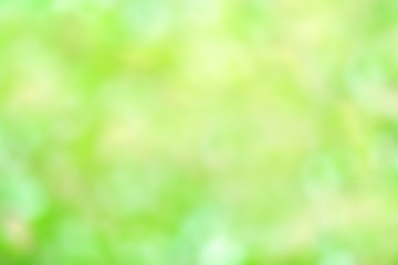 Fototapeta premium Blurred bright Summer background. Abstract colorful green bokeh from tree.
