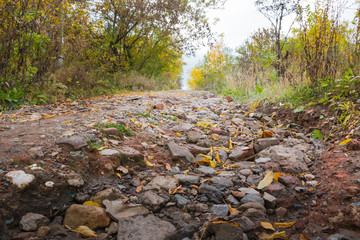 A path in an abandoned autumn Park