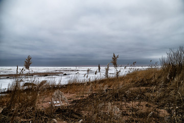 Fototapeta na wymiar landscape with frozen sea, sandy beach and dry grass on it