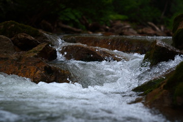 Image of a streamlet with clear water.