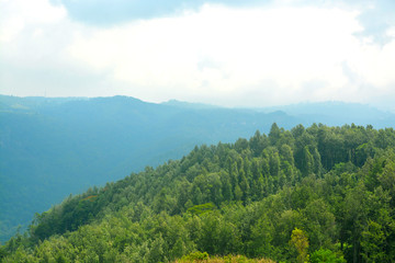 Yercaud hill station is a popular tourist getaway in southern India.
