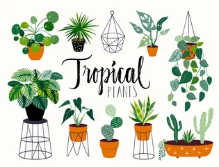 Fototapete Pflanzen Tropische Zimmerpflanzensammlung mit verschiedenen Elementen, einzeln auf Weiß und Handbeschriftung