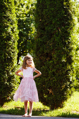 Portrait of a cheerful girl in a lush pink dress in the park.