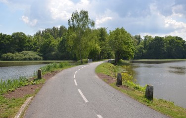 Fototapeta na wymiar Route traversant l'étang de Gondrexange en Moselle, France