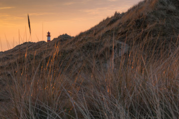 Fototapeta premium Sylt Ellenbogen