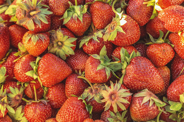 Strawberry background of berries