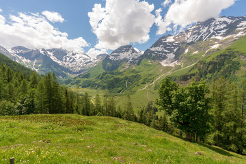 Fototapeta premium Nationalpark Hohe Tauern