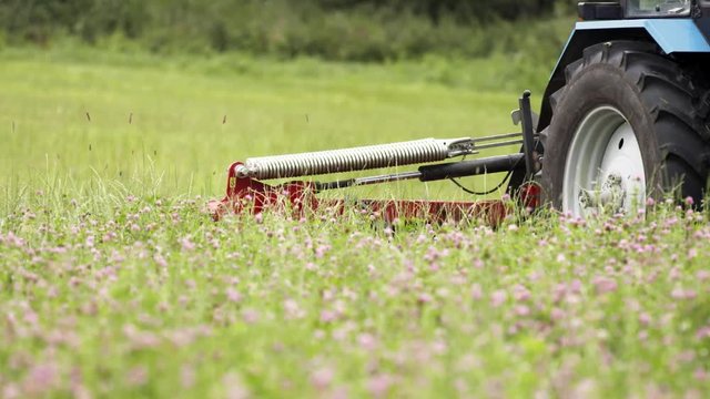 Blue tractor with combine attachment cutting grass on green clover field on summer cloudy day