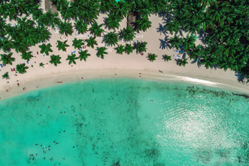 Fototapeta na wymiar Aerial view of tropical beach, Dominican Republic