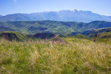 Spring in the mountains. Alma-Ata region. Kazakhstan