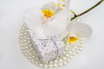 Fototapeta na wymiar Gift box and white orchid on a white background 
