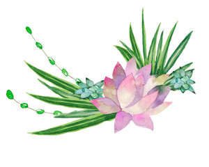 watercolor illustration of cactus