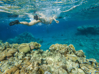 Woman snorkeling underwater above coral reef