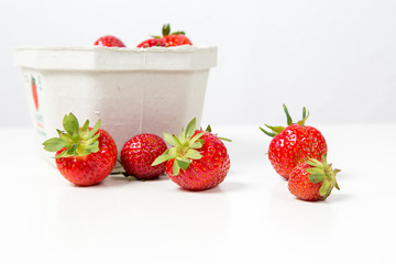 Frische Erdbeeren vor weißem Hintergrund