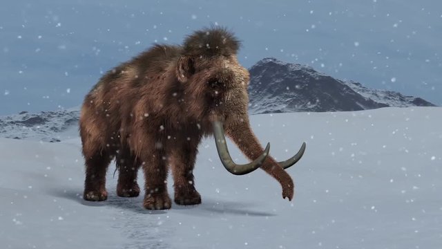 Woolly Mammoth in winter under a snowfall, animation 