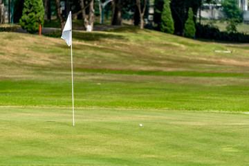 Obraz premium White flag with green grass