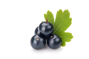 Blackcurrant
