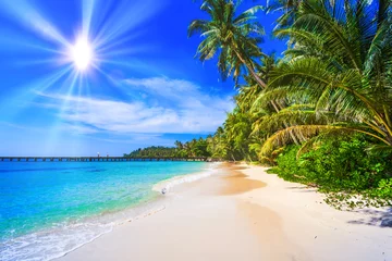 Gordijnen tropisch strand. zee en kokospalm. Landschap van paradijs tropisch eiland strand © EwaStudio