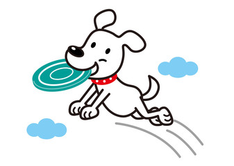 犬　白犬　フリスビー　白犬　