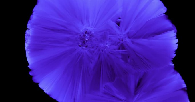 Crystals growth. The process of crystallization in supersaturated solution. Separated on pure black background, contains alpha channel.