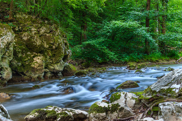 Beautiful mountain river with small cascades surrounded by trees and rocks in Serbia, Europe