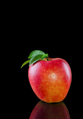 Red apple on a black background with reflection / Red apple on a black background