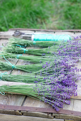Bouquets of fresh lavender on a wooden table, prepared for drying. Rustic style.