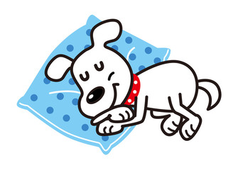 犬　白犬　昼寝