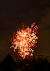 Beautiful colorful fireworks on sky