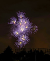 Beautiful colorful fireworks on sky