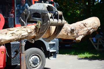 Obraz premium Truck crane hold wood. Wood chipper shredder. A harvester is a type of heavy forestry vehicle employed in cut-to-length logging operations for felling, delimbing and bucking trees