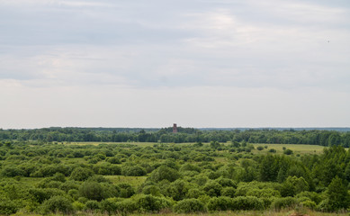 an ancient tower in the field, a brick tower in the forest, a ruined tower in the field, a ruined church in the field