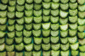 Fototapeta premium lots of green rhubarb cut into pieces