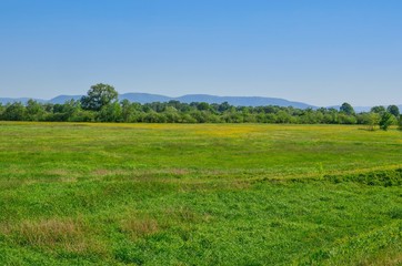 Fototapeta premium Spring mountain landscape. Green meadows and beautiful hills in the background.