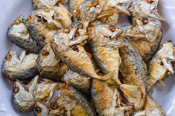 Many fried Mackerel. Special Thai food.