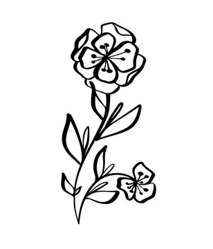 Hand drawn modern flowers drawing and sketch floral with line-art, vector illustration wedding design for t-shirts, bags, for posters, greeting cards, Isolated on white background