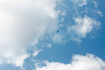 Paraglider flying sport