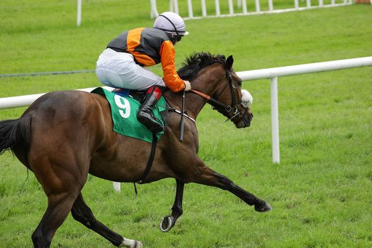 Single race horse and jockey racing down the track