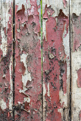 Old wooden background with remains of pieces of scraps of old paint on wood