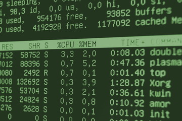 List of processes on the display. Toned